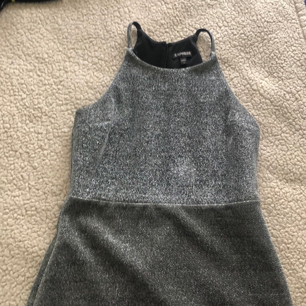 Express Sparkle Dress